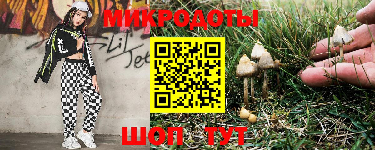 Псилоцибиновые грибы ЛСД  как найти закладки  Галлюциногенные грибы Psilocybe  Саратов  Вход с VPN 